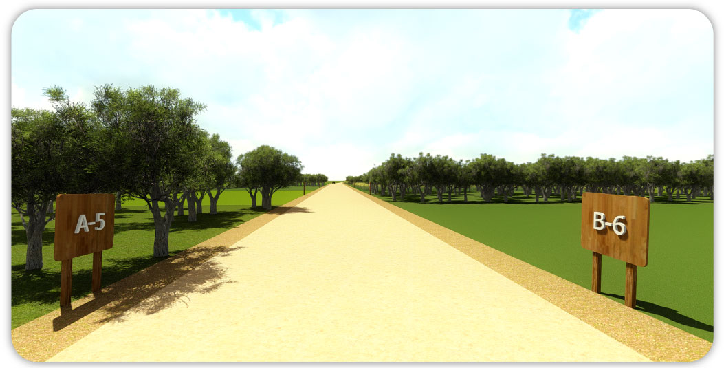 VALLE2