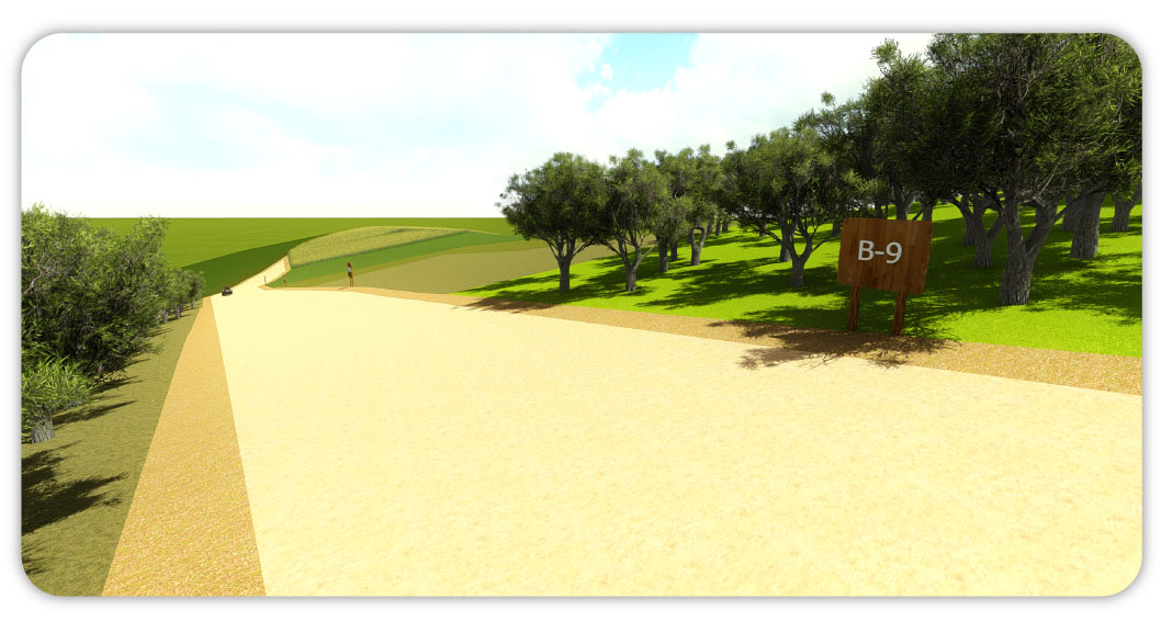 VALLE6