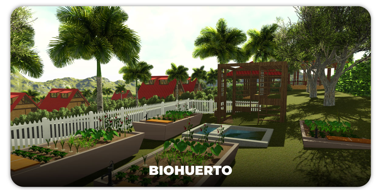 biohuerto