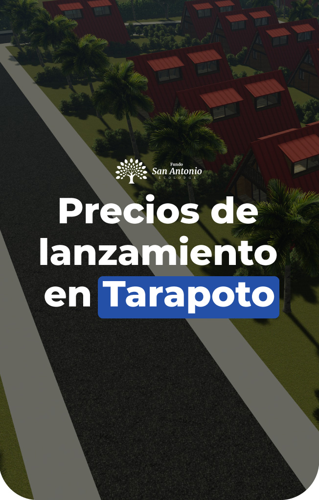 lanzamiento