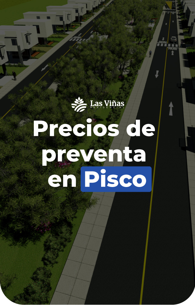 pisco