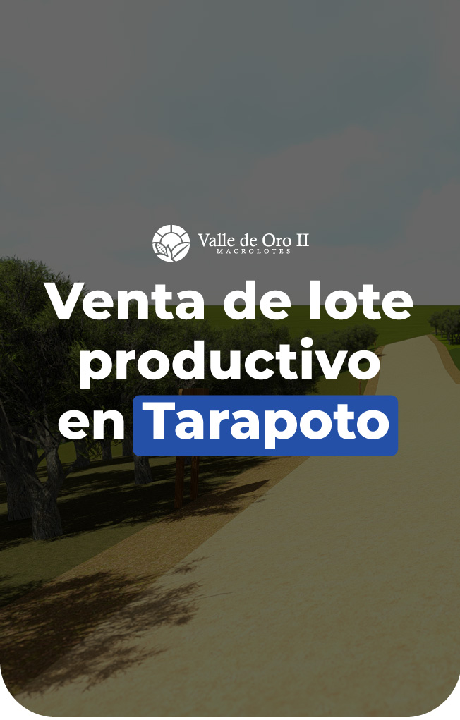 tarapotoo