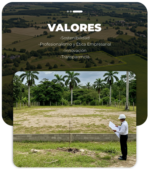 valores-cel