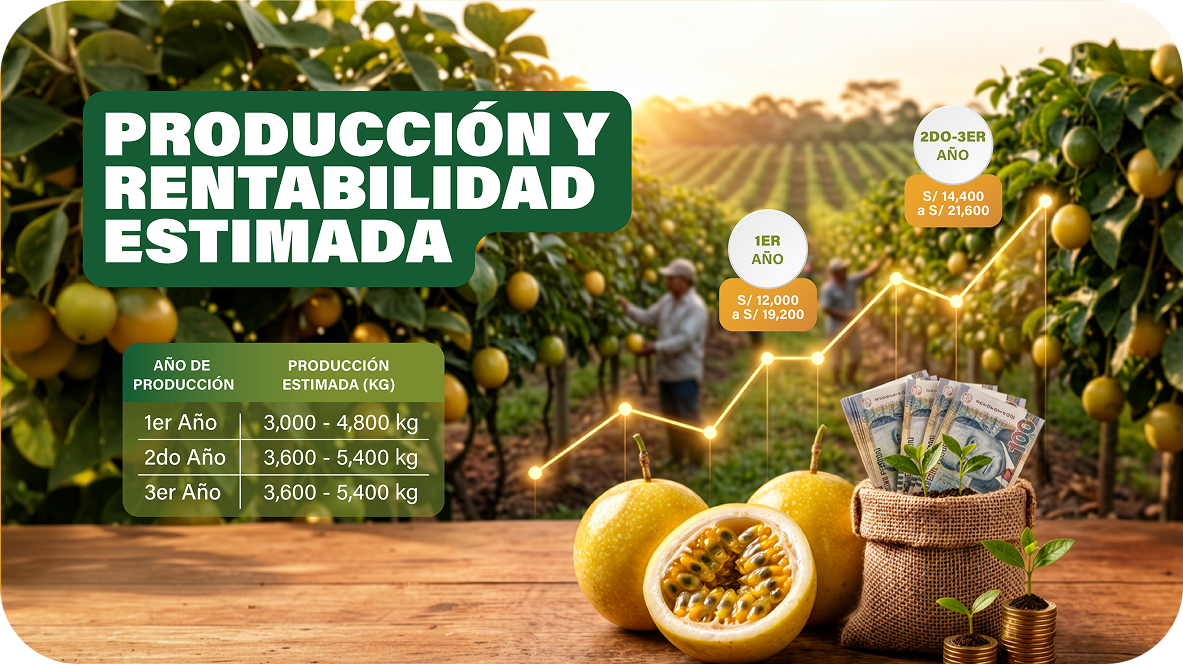 maracayua3