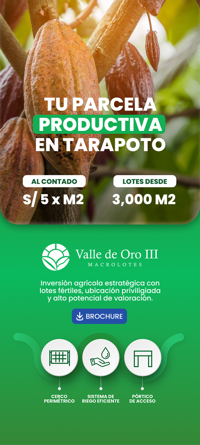 valle de oro 3